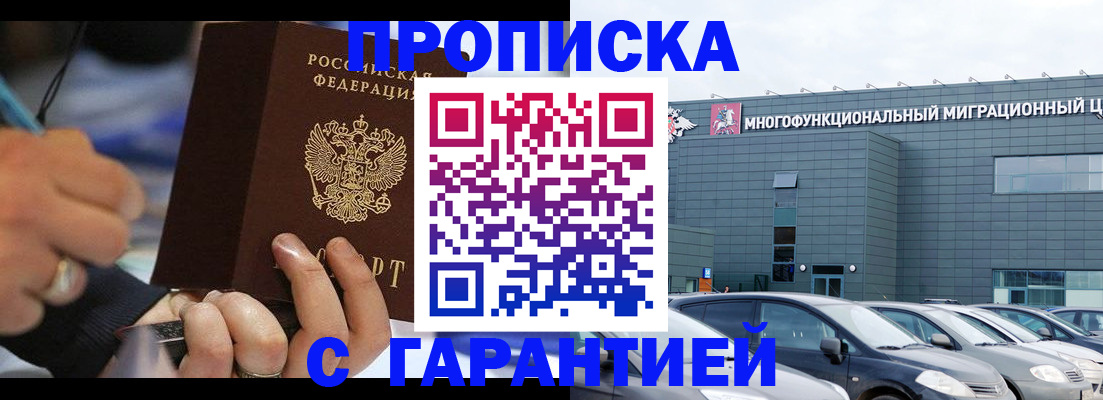 прописка для школы в Шали